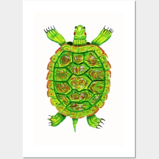 Psychedelic box turtle in acrylic Posters and Art